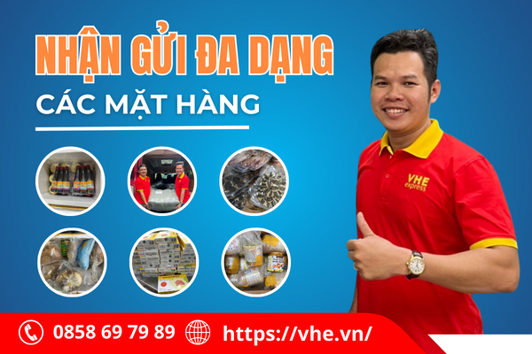 đa dạng hàng hóa